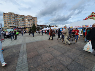 5 сентября около 4000 гостей собрал фестиваль #ВместеЯрче-2020 в Ленинградской области