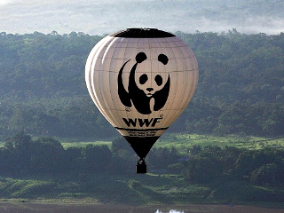 «МОЭК» вошел в ТОП-10 рейтинга Всемирного фонда дикой природы по экологической открытости энергокомпаний