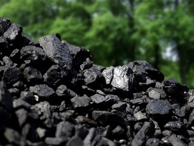 Сергей Мочальников: «Отказа от использования угля в ближайшее время не планируется»