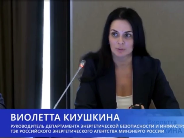Виолетта Киушкина: Энергетическая безопасность является условием стабильной социально-экономической жизни населения