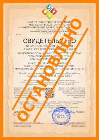 Выдача свидетельства (допуска) саморегулируемой организации в области энергетического обследования (СРО энергоаудиторов)