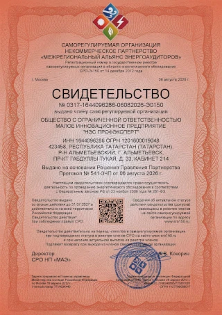 Выдача свидетельства (допуска) саморегулируемой организации в области энергетического обследования (СРО энергоаудиторов)